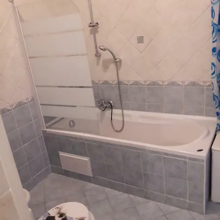 Silva Apartment *